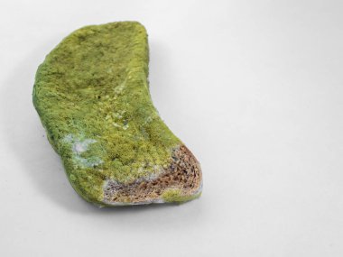 Beyaz arka planda yeşil küfle kaplı bir parça ekmek izole edilmiş..