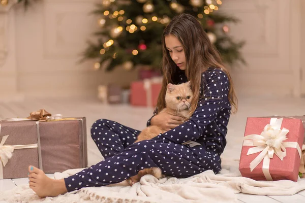 Menina Passa Férias Natal Com Seu Gato — Fotografia de Stock