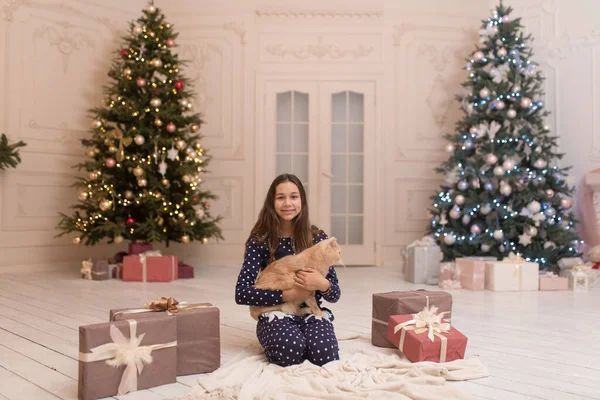 Menina Passa Férias Natal Com Seu Gato — Fotografia de Stock