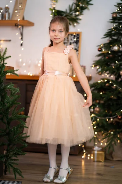 Prenses Elbiseli Küçük Kız Noel Kutluyor Noel Sihirli Peri Masalı — Stok fotoğraf
