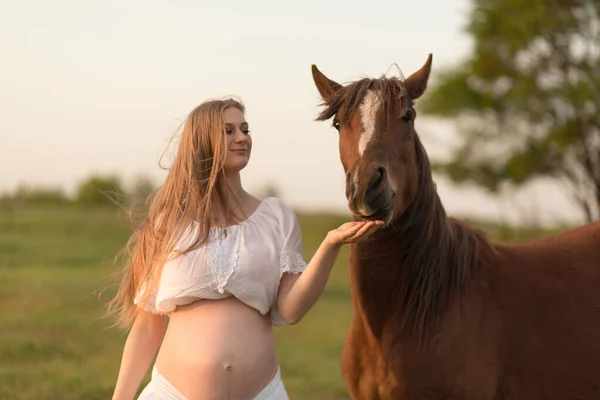 Una Chica Embarazada Blanco Comunica Con Caballo Prado Verde Atardecer — Foto de Stock