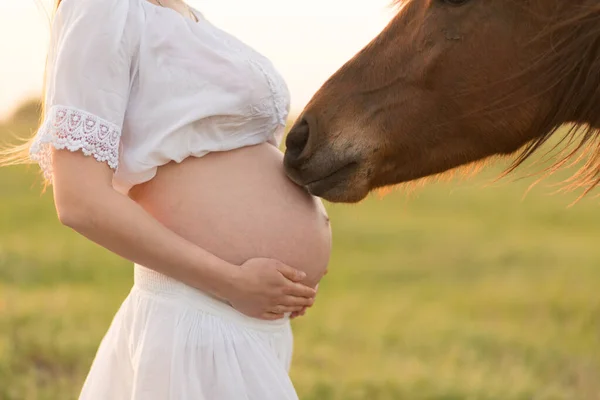 Una Chica Embarazada Blanco Comunica Con Caballo Prado Verde Atardecer — Foto de Stock