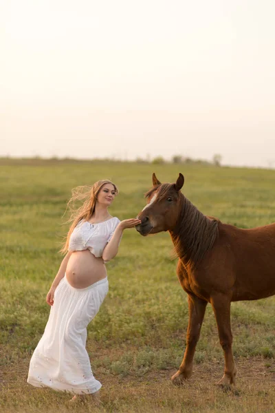 Una Chica Embarazada Blanco Comunica Con Caballo Prado Verde Atardecer — Foto de Stock