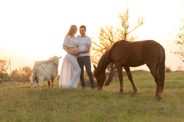 Een Boer Met Zijn Zwangere Vrouw Bij Zonsondergang Zijn Boerderij — Stockfoto