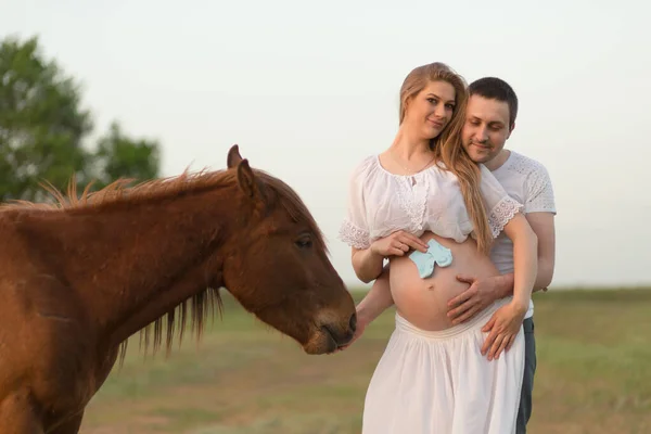 Granjero Con Esposa Embarazada Atardecer Granja Posando Con Caballo — Foto de Stock