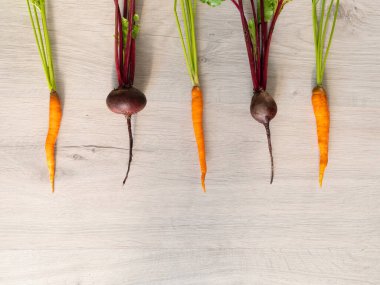Yıkanmış taze pancar ve havuç. Düzen, üst görünüm.