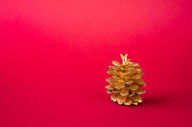 Golden pine cone on a red background, Christmas decorations. Copy space.