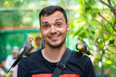 Kuş parkındaki adam papağanlarla iletişim kuruyor. Evcil papağanlar turistlerden yiyecek dileniyor..