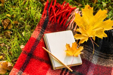 Sonbahar parkında sıcak bir battaniye ve sarı yapraklarla boş vakit geçirmek. Sonbahar havası, sonbaharın renkleri.