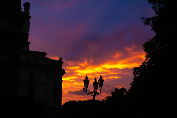 Colorful Sunset City Park Close — Stock Photo, Image