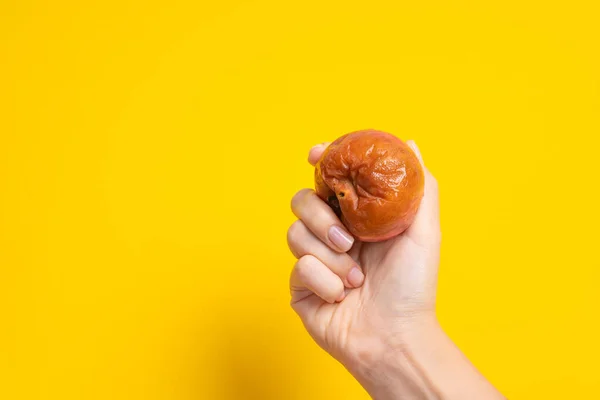 A female hand holds a rotten apple with a worm on a yellow background. Expired products.