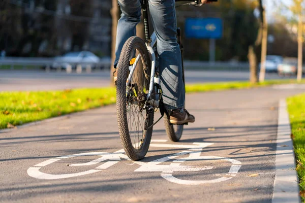 Cycle path in the city park. Bicycle sign on the road.