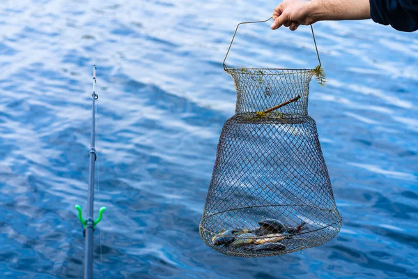 Fisk Fångad Nätlåda Fiske Hobby Och Fritid Tyst Jakt — Stockfoto