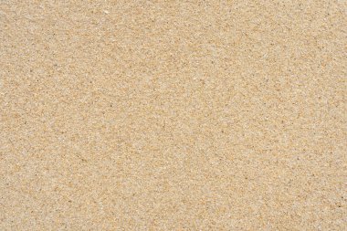 Kumsalda kum dokusu. Parçalanmış kabuklar..