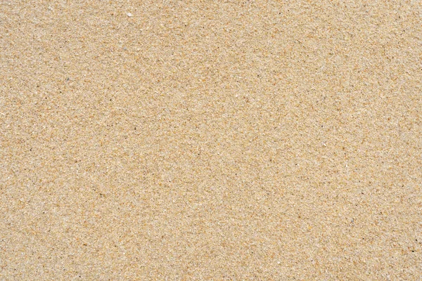 Sand Struktur Stranden Krossade Skal — Stockfoto
