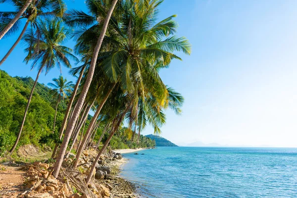 Zandstrand Van Een Paradijs Verlaten Tropisch Eiland Palmbomen Hangen Aan — Stockfoto