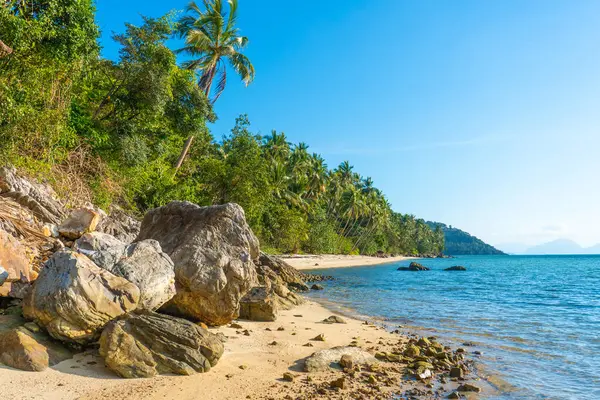 Zandstrand Van Een Paradijs Verlaten Tropisch Eiland Palmbomen Hangen Aan — Stockfoto