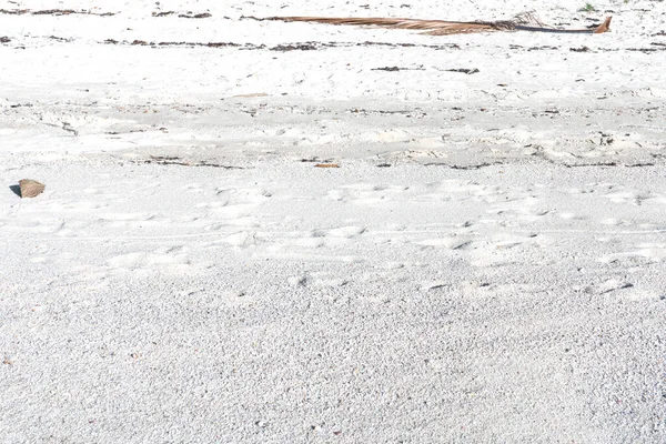 Playa Tropical Con Arena Fina Blanca Agua Clara Del Océano — Foto de Stock