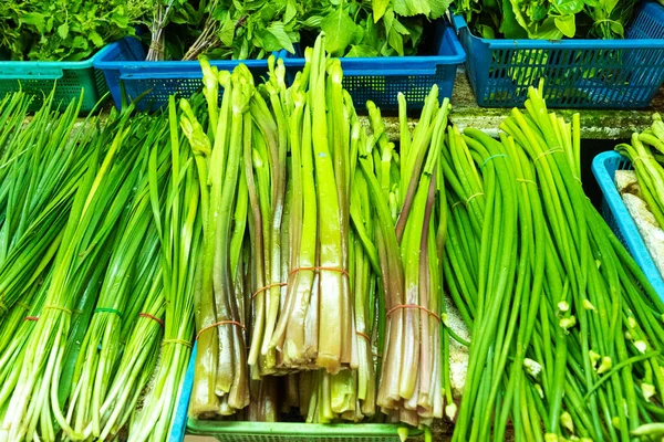 Bancone Negozio Con Verdure Mucchio Verdure Erba Cipollina Germogli Insalata — Foto Stock