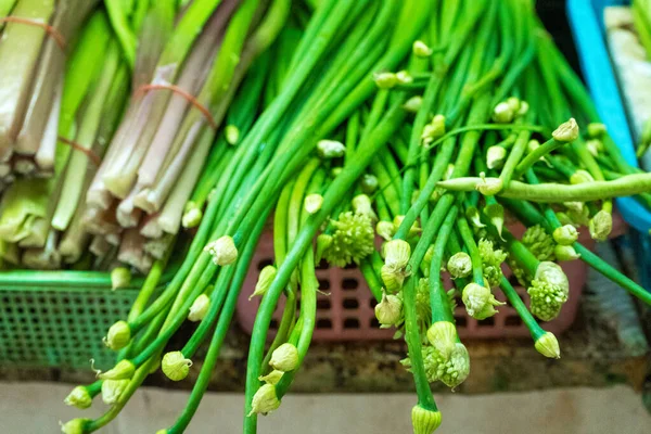 Bancone Negozio Con Verdure Mucchio Verdure Erba Cipollina Germogli Insalata — Foto Stock