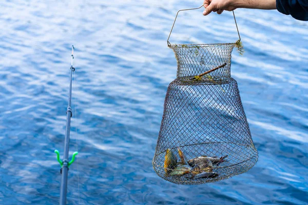 Fisk Fångad Nätlåda Fiske Hobby Och Fritid Tyst Jakt — Stockfoto