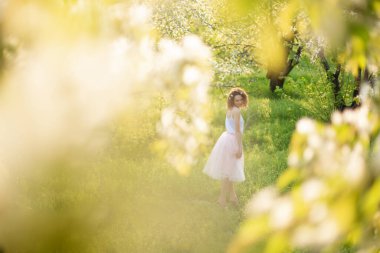 Genç çekici kız bahar yeşil parkında yürüyor çiçek açan doğanın tadını çıkarıyor..