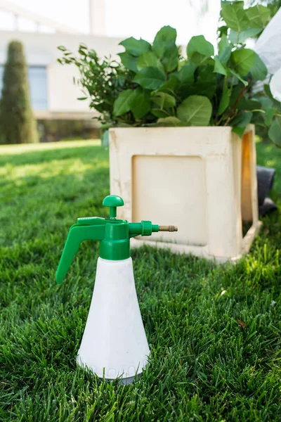 Professionele Gereedschapsbloemist Spray Voor Bloemen Spray Een Fles Groene Kleur — Stockfoto