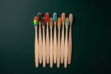Koyu yeşil arka planda bambu ağacından yapılmış çevre dostu antibakteriyel diş fırçaları. Çevresel eğilimler.
