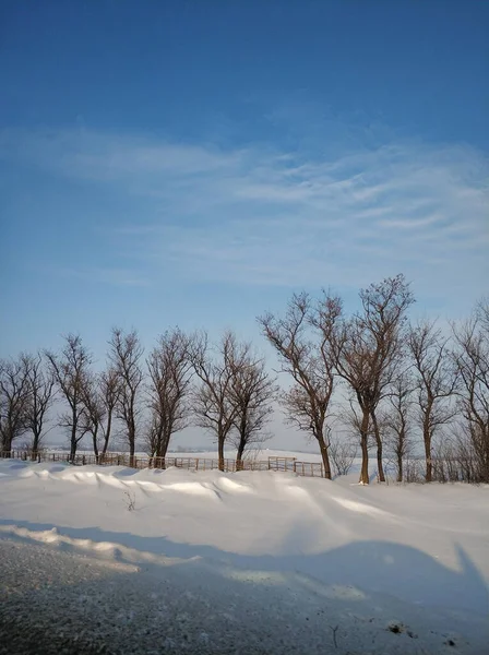 Zimowy Krajobraz Daleka Wioska Zimnej Części Planety Droga Pokryta Białym — Zdjęcie stockowe