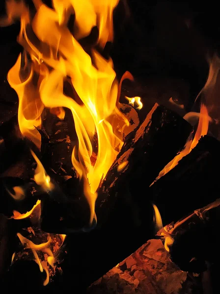 Llamas Fuego Una Hoguera Por Noche — Foto de Stock