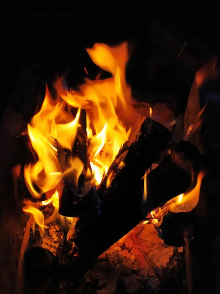 Llamas Fuego Una Hoguera Por Noche — Foto de Stock