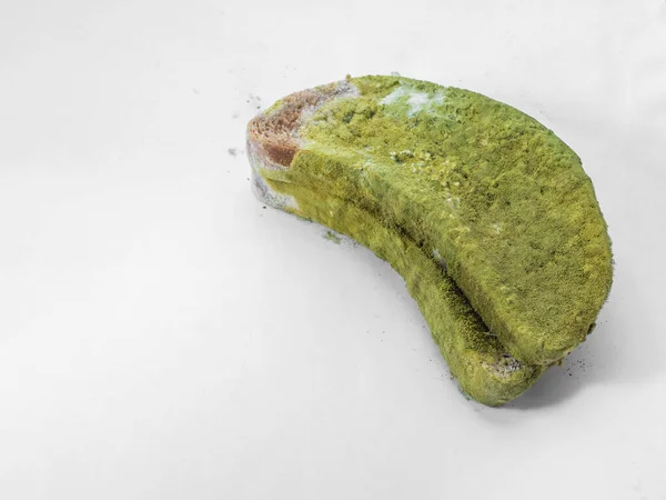 Pedaço Pão Coberto Com Mofo Verde Sobre Fundo Branco Isolado — Fotografia de Stock