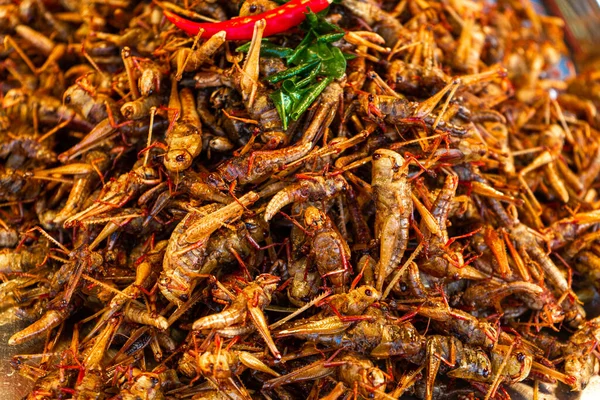 Asiatisk Livsmedelsmarknad Disk Med Stekta Insekter — Stockfoto