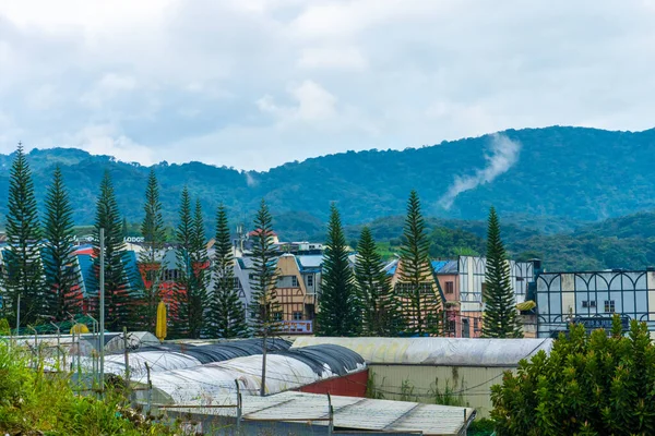 Krásná Moderní Vesnice Vysokohorské Oblasti Čistým Vzduchem Cameron Highlands Malajsie — Stock fotografie