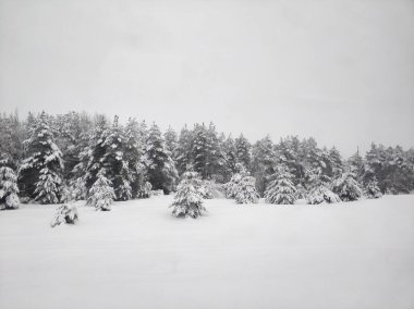 Kış manzarası. Beyaz karla kaplı kış merdiveni. Karda ağaçlar.