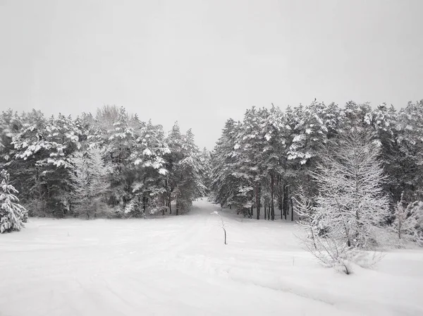 Paisagem Inverno Escada Inverno Coberta Neve Branca Árvores Neve — Fotografia de Stock