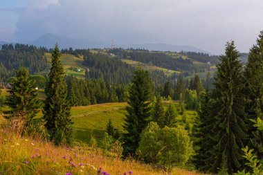 Karpaty Dağları 'nın yaz manzarası
