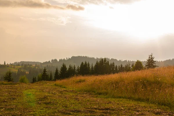 Sommar Natur Landskap Karpaty Mountains — Stockfoto