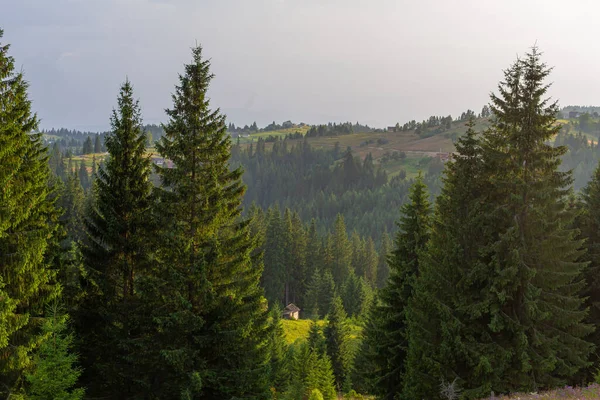 Vackert Sommarlandskap Byn Bland Karpaty Bergen — Stockfoto