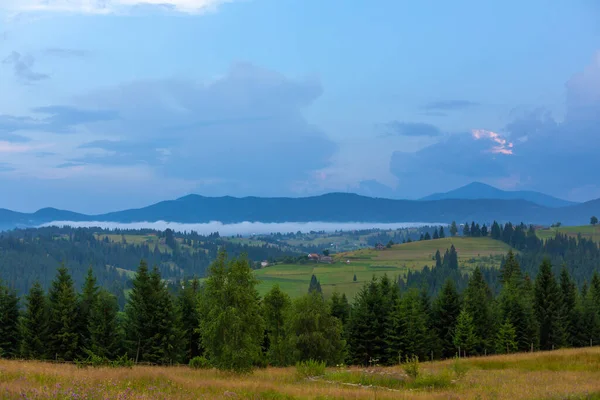 Sommar Natur Landskap Karpaty Mountains — Stockfoto