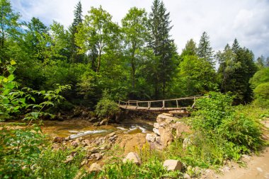 Dağ ormanlarındaki küçük nehrin üzerindeki eski tahta zayıf köprü..