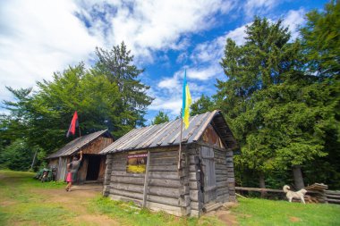 Dağ ormanlarındaki ahşap kulübeler. Karpatlar, Ukrayna - 07.27.2016