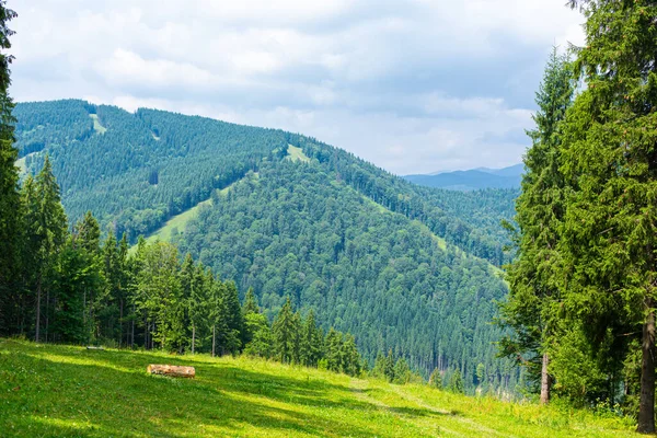 Літній Краєвид Карпатських Гір — стокове фото