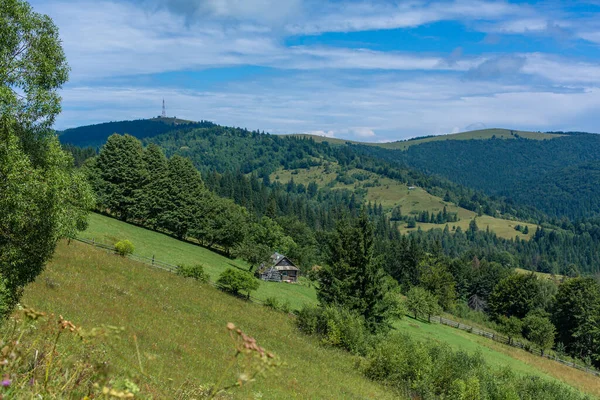 Karpaty Dağları Arasında Güzel Bir Köy Manzarası — Stok fotoğraf