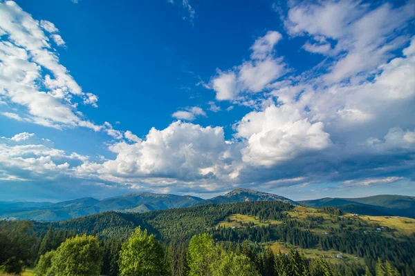 Sommar Natur Landskap Karpaty Mountains — Stockfoto