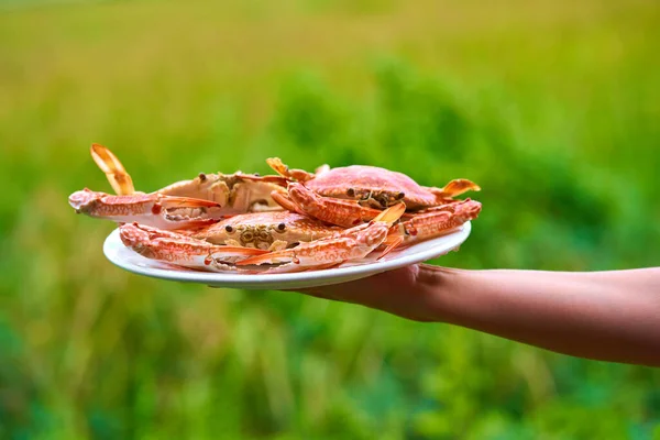 배경에 접시에 푸른게 — 스톡 사진