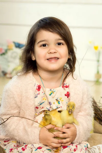 Mutlu Küçük Kız Sevimli Paskalya Ördekleri Ile Oynanır — Stok fotoğraf