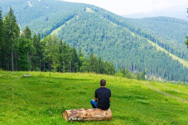 Kütüğün üzerinde oturan ve huzurlu yeşil dağların tadını çıkaran bir adam. Huzur ve rahatlama..