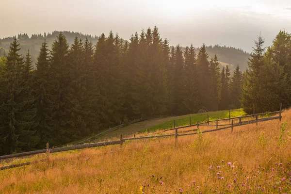 Berg Kullar Ren Natur Landsbygd Landskap Staket Från Trästockar — Stockfoto