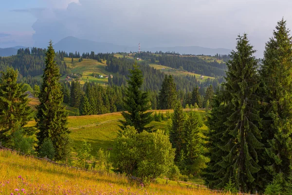 Karpaty Dağları Nın Yaz Manzarası — Stok fotoğraf